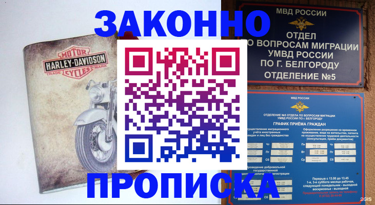 прописка для школы в Ельне